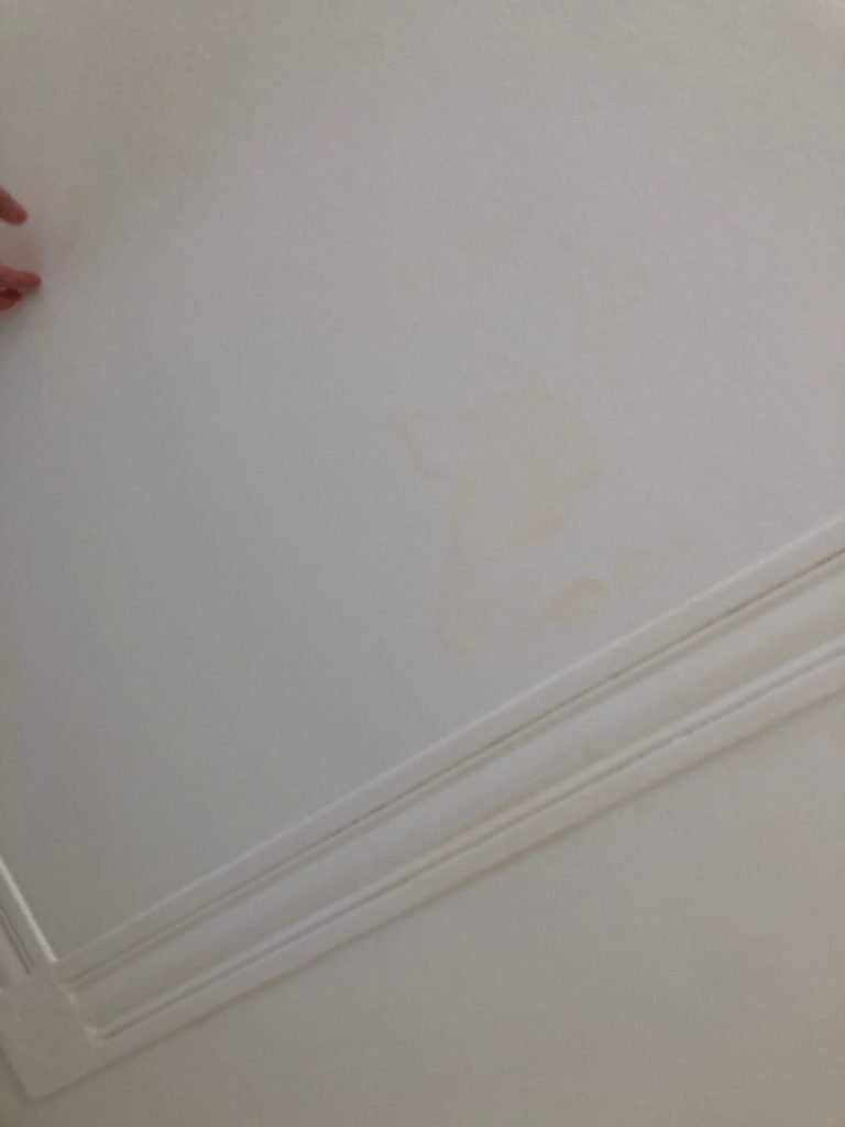 Verkleuring en vochtplekken op plafond vóór herstel in Schiedam
