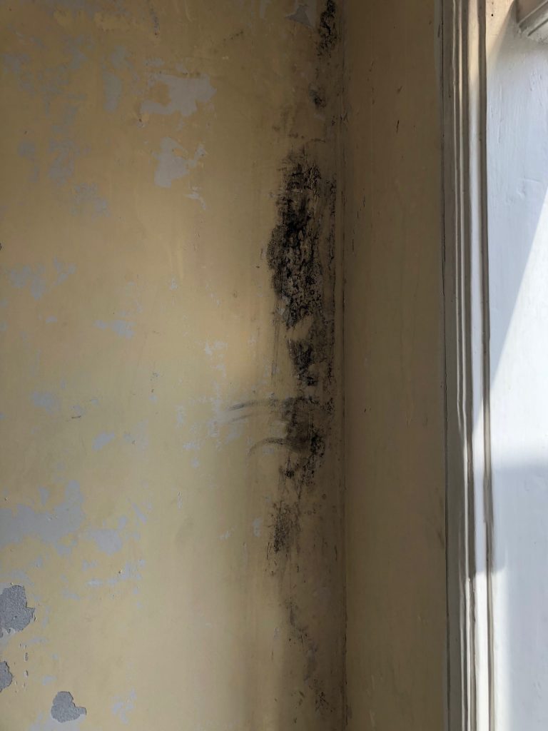 Vocht- en schimmelplekken op wand naast raam vóór herstel